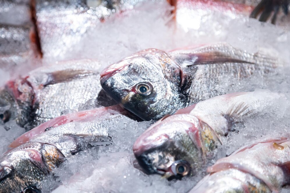 Cómo congelar pescado hasta Navidad